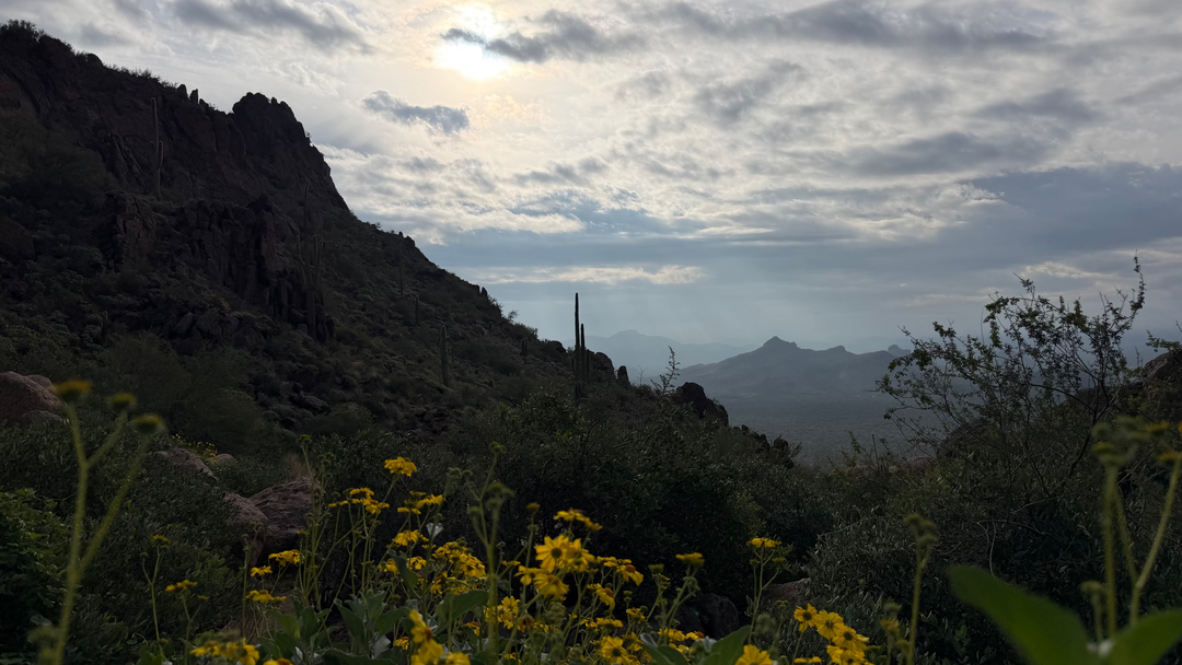Discover the Wave Cave Trail: A Local's Guide to This Great Arizona Hike